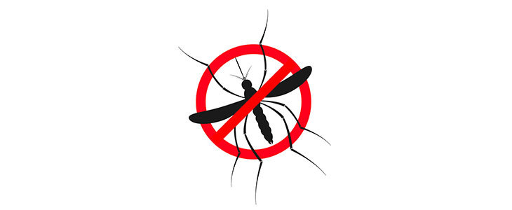 74% popust na paket 10 zapestnic proti komarjem in drug - Kuponko.si