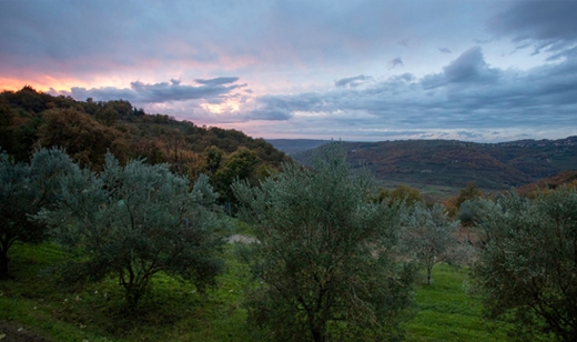 HUDA CENA na tečaj popotne fotografije z vključeno orga - Kuponko.si
