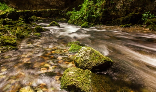 HUDA CENA na tečaj popotne fotografije z vključeno orga - Kuponko.si