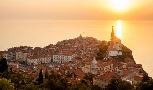 HUDA CENA na tečaj popotne fotografije z vključeno orga - Kuponko.si