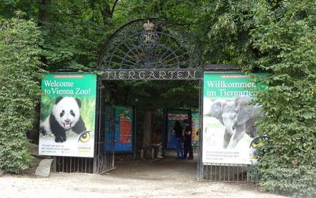 HUDA CENA na enodnevni izlet na Dunaj z možnostjo ogled - Kuponko.si
