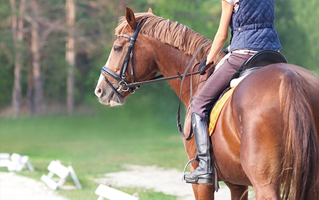 Do 64% popust na zabavno jahanje konjev v Šoli jahanja - Kuponko.si