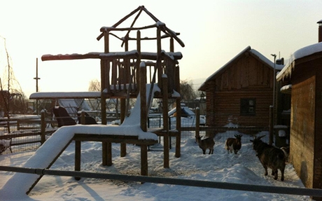 HUDA CENA na vstopnico Zabaviščni park Mini Zoo Land v - Kuponko.si