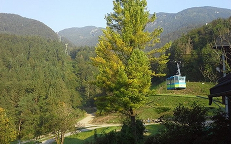 HUDA CENA na 1x povraten prevoz z nihalko na Golte! - Kuponko.si