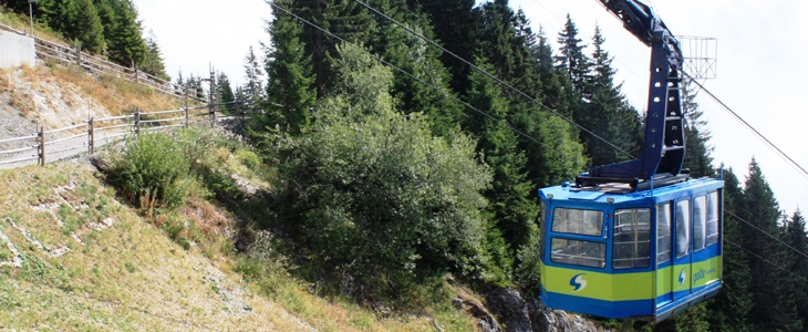 Potepanje po Golteh z vožnjo z nihalko in vstopom v Alp - Kuponko.si