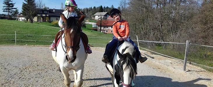 Spoznajte najmlajše s konji! 52% popust na 30-minutno j - Kuponko.si