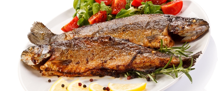 59% popust na okusno mesno ali ribje kosilo v priznanem - Kuponko.si
