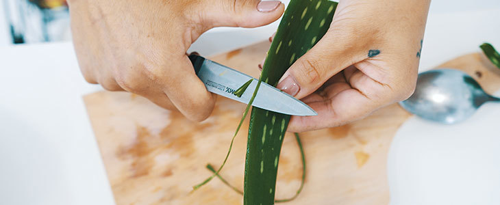 Masaža po izbiri s svežo Aloe vero in aromatičnimi olji - Kuponko.si