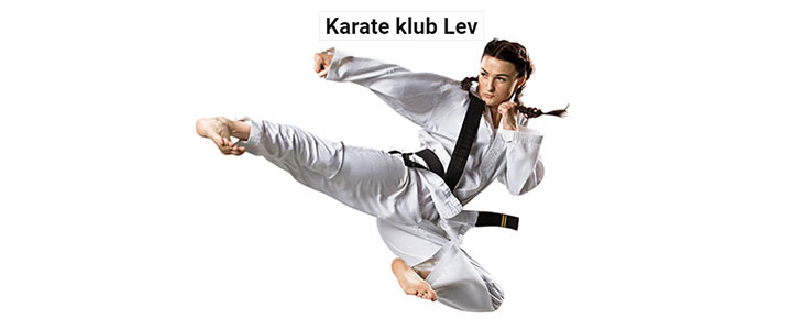 66% popust na 2-mesečni začetni tečaj karateja za vse s - Kuponko.si