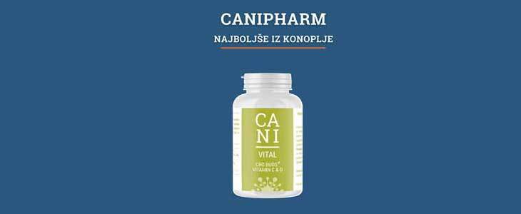 Organska konoplja! HUDA CENA na CANI CBD 120 kapsul VIT - Kuponko.si