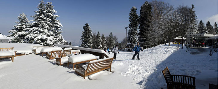 Zimovanje na Pohorju! Do 68% popust na oddih z zajtrkom - Kuponko.si