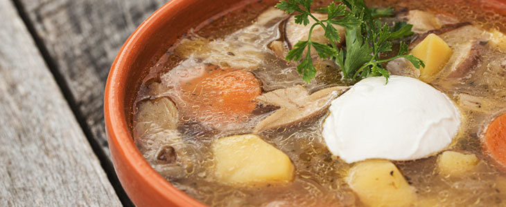 Do HUDA CENA na smučarsko vozovnico na dolenjskem smuči - Kuponko.si