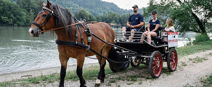 HUDA CENA za turistično 60-minutno vožnjo s kočijo po K - Kuponko.si