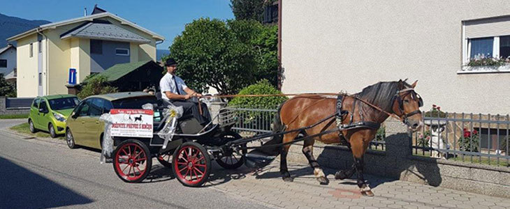 HUDA CENA za turistično 60-minutno vožnjo s kočijo po K - Kuponko.si