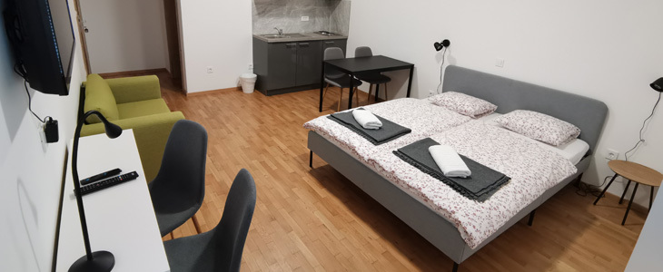 HUDA CENA za najem apartmaja z vstopnicami za ogled muz - Kuponko.si