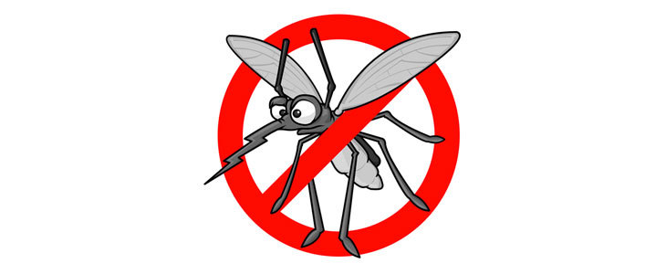 63% popust na magnetno mrežo proti mrčesu Bug Off Insta - Kuponko.si