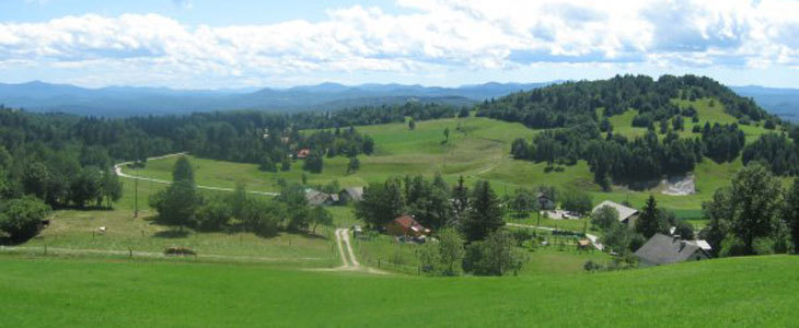 HUDA CENA za edinstveno poletno glamping izkušnjo v bru - Kuponko.si
