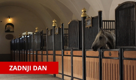 -50% popust na ogled slovenskega ponosa Kobilarne Lipic - Kuponko.si