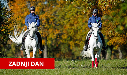 -50% popust na ogled slovenskega ponosa Kobilarne Lipic - Kuponko.si