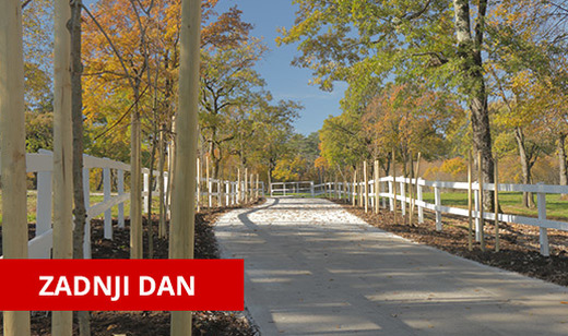 -50% popust na ogled slovenskega ponosa Kobilarne Lipic - Kuponko.si