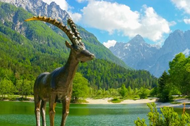 Hotel Alpina, Kranjska Gora kupon Hotel Alpina, Kranjska Gora kupon
