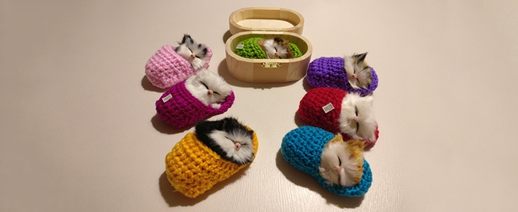 ST Tim, simpatičen mucek, ki mjavka - Kuponko.si