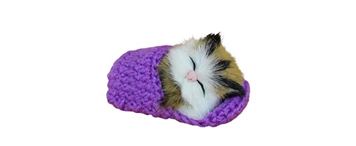 ST Tim, simpatičen mucek, ki mjavka - Kuponko.si