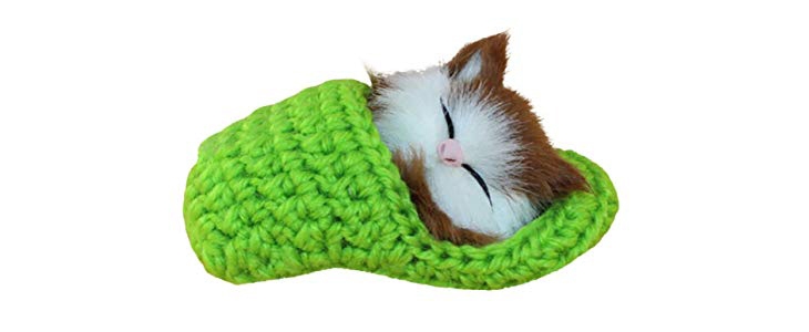 ST Tim, simpatičen mucek, ki mjavka - Kuponko.si