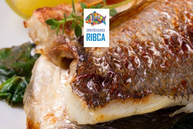 Okrepčevalnica Ribca, morske dobrote Okrepčevalnica Ribca, morske dobrote