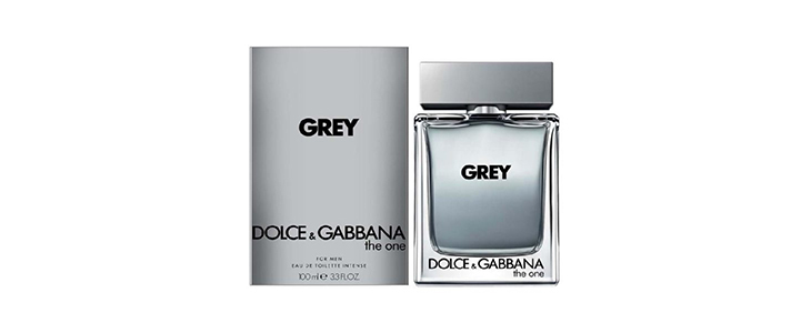 Moška dišava Dolce & Gabbana The One Grey 100 ml - Kuponko.si