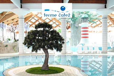 Hotel Čatež, Terme Čatež: oddih s polpenzionom Hotel Čatež, Terme Čatež: oddih s polpenzionom