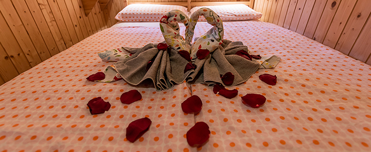 Velika planina resort, najem pristne koče - Kuponko.si