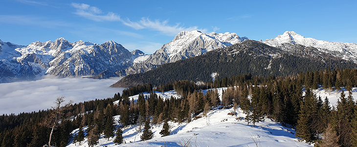 Velika planina resort, najem pristne koče - Kuponko.si