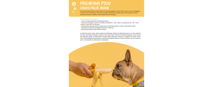 Puppy 4paws - spletni tečaj vzgoje kužkov - Kuponko.si