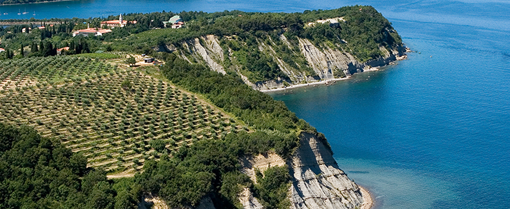Hotel Salinera, Strunjan - morski oddih s polpenzionom  - Kuponko.si