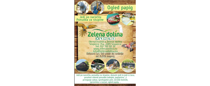 Okrepčevalnica Zelena dolina: zimska pojedina za 6 oseb - Kuponko.si