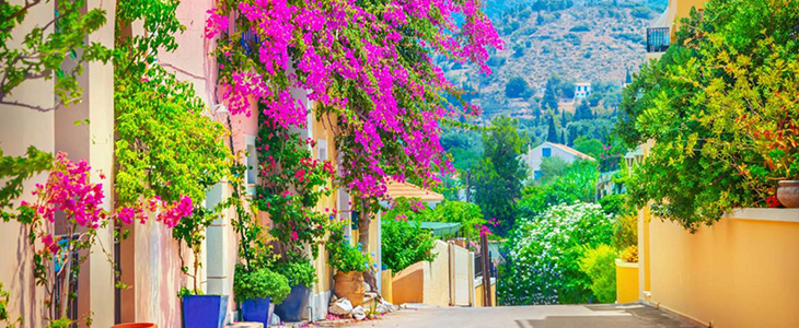 Cephalonia Palace**** na otok Kefalonija v Grčiji - Kuponko.si