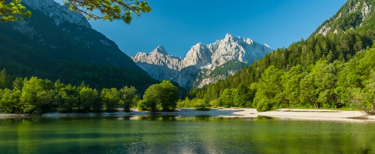 Apartmaji Otašević Kranjska Gora: najem apartmaja - Kuponko.si