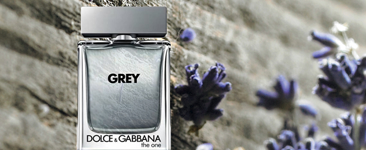 Moška dišava Dolce & Gabbana The One Grey 100 ml - Kuponko.si