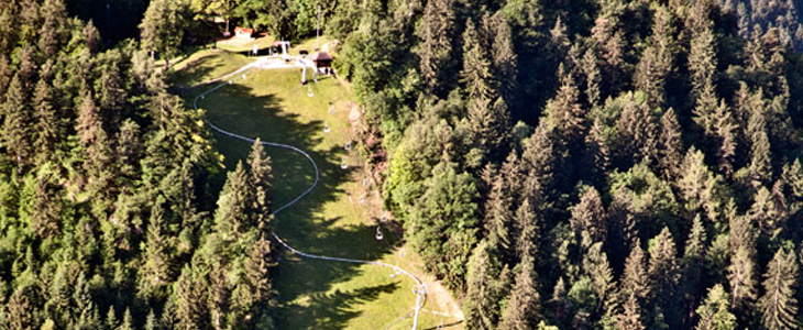 Balonarski center Barje: polet z balonom, Bled - Kuponko.si