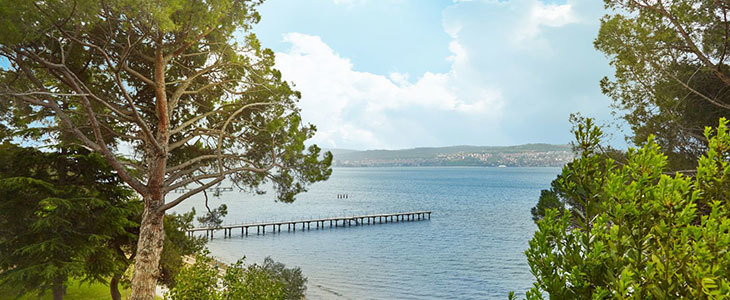 Camping Adria, Ankaran: mobilna hiška, turistični bon - Kuponko.si