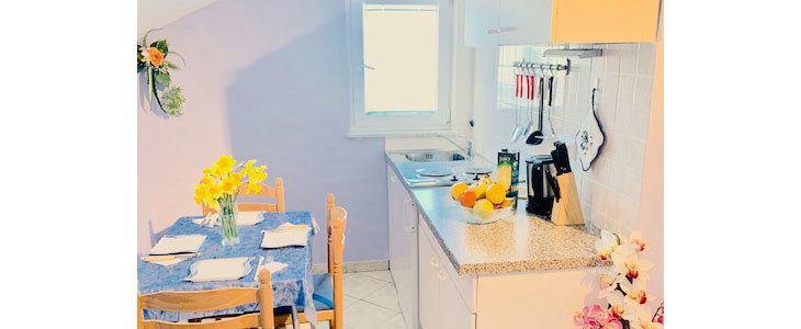 Apartmaji Villa Barbara***na krasnem otoku Vir - Kuponko.si