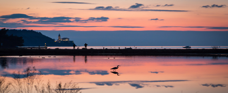 Hotel Lavender ali Oleander, Strunjan kupon - Kuponko.si