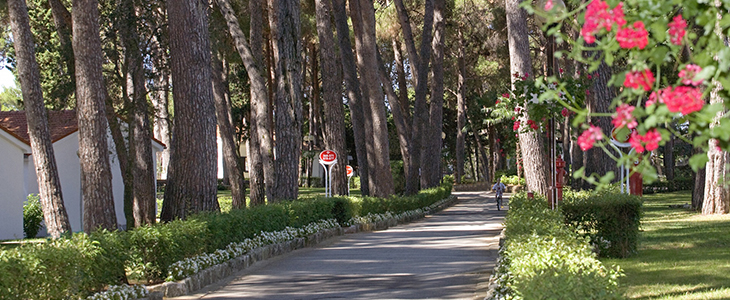 Villa Galijot**** Plava Laguna, Poreč - Kuponko.si
