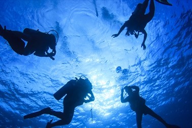 Oceandiving Koper: potapljaški program s predavanjem