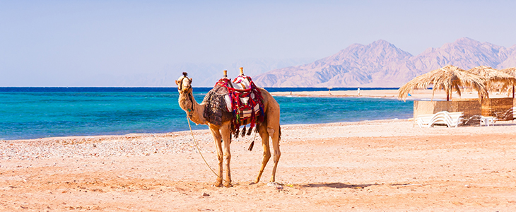 The Grand hotel Hurgada, Egipt, all inclusive - Kuponko.si