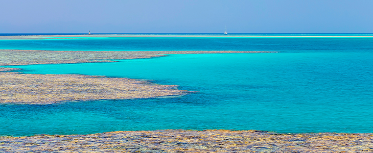 All inclusive Sharm Plaza 4*, Egipt Sharm El Sheikh - Kuponko.si