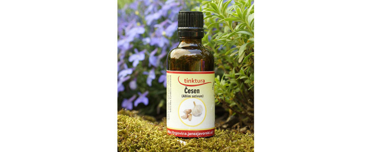 HUDA CENA na česnovo tinkturo (50 ml) iz eko proizvodnj - Kuponko.si