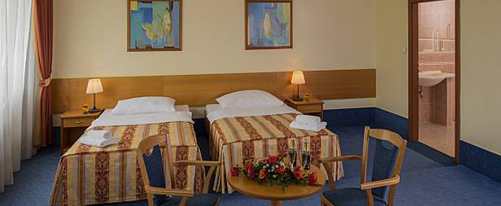 Top Hotel 4*, Praga, wellness oddih - Kuponko.si