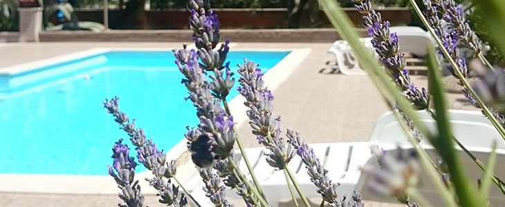  Villa Stari dvor 3* Ugljan: oddih v hotelu z bazenom - Kuponko.si